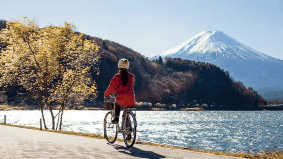 From Tokyo: Mount Fuji Full-Day Customized Private Tour