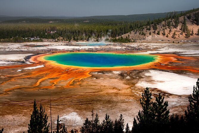 Full Day Private Guided Tour in Yellowstone National Park - Key Points