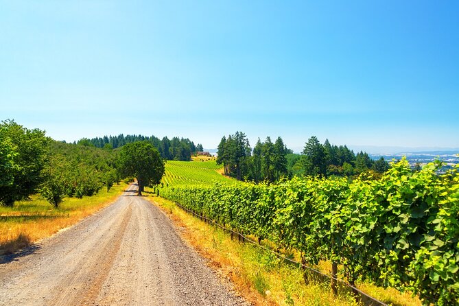 Full Day Private Willamette Valley Wine Tour From Portland - Key Points