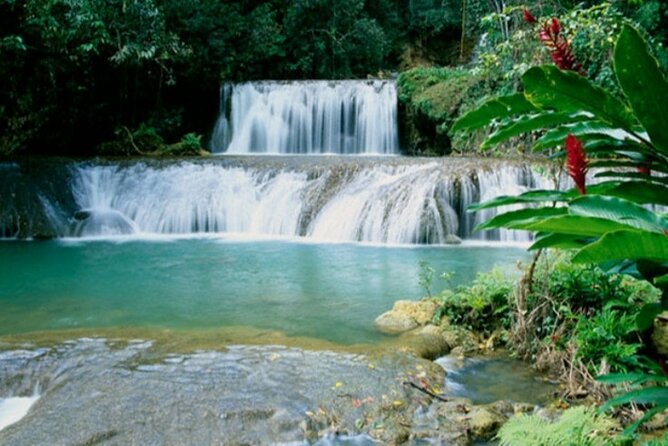 Full Day YS Falls and Appleton Estate Tour From Montego Bay