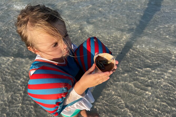 Half Day Eco and Dolphin Boat Tour Review - About Your Stay