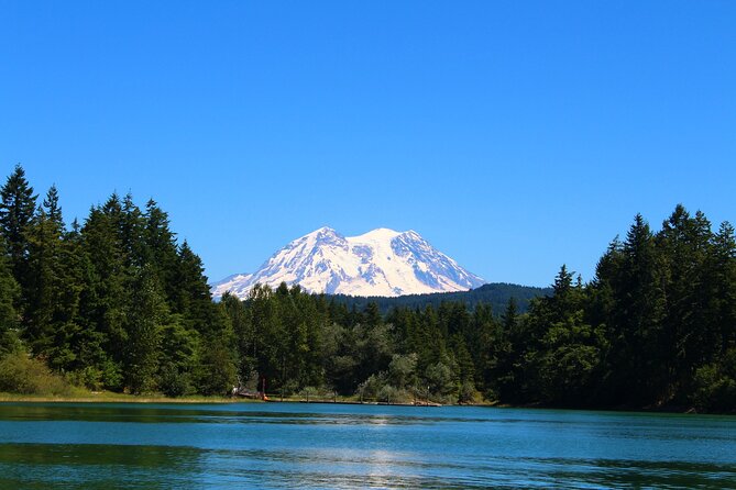 Hiking in Mount Rainier Private Tour From Seattle - Key Points