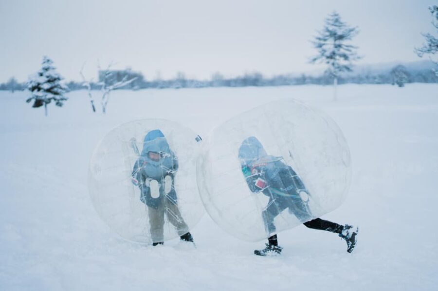 Hokkaido Tour❘Otaru,Shiroikoibito Park,Snowland From Sapporo