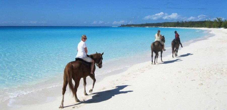 Horseback Riding on the Stunning Beaches of Punta Cana - Tour Inclusions