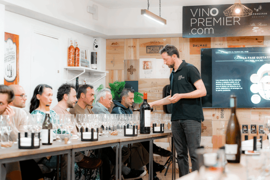 Initiation Tasting to the World of Wine + Tasting of Iberian Cured Meats - Educational Component
