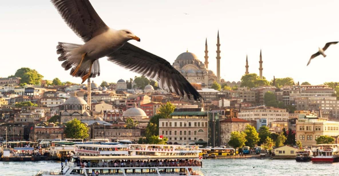Istanbul: Bosphorus Morning/Sunset Cruise With Optional Stop