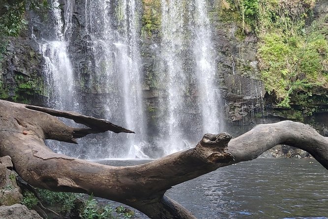 Jewels of the Raing Forest - Wildlife and Activities