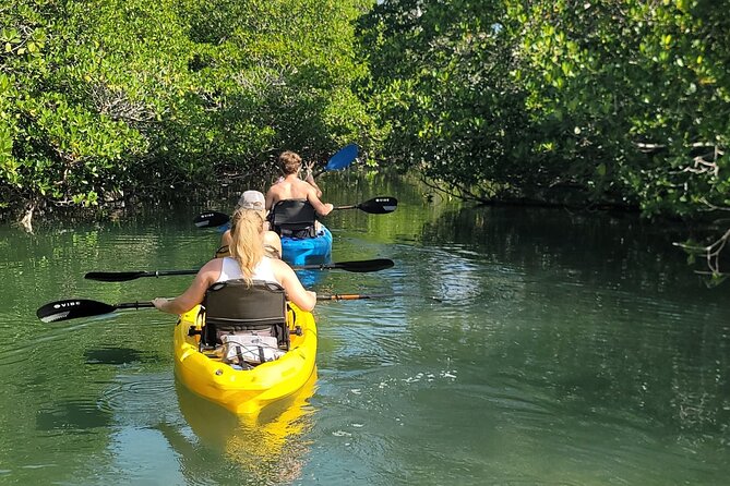 Kayak Through Mangrove Forests Review - About Your Stay