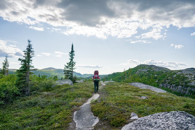 Kesugi Ridge Multiday Backpacking Tour Review - About Your Stay