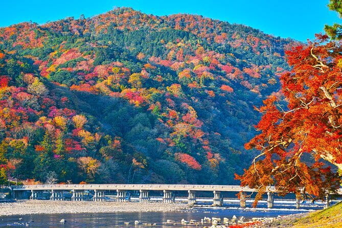 Kyoto Arashiyama: Fall Foliage Walking Tour【Autumns Limited】 - Key Points