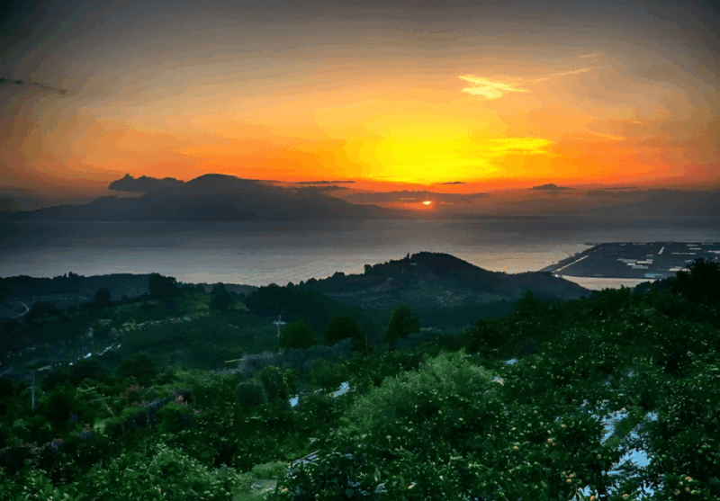 Kyushu 9-Hour Chartered Day Trip｜ Kumamoto - Key Points