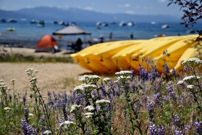 Lake Tahoe Paddleboard Rental Review - Overview of Lake Tahoe Paddleboard Experience