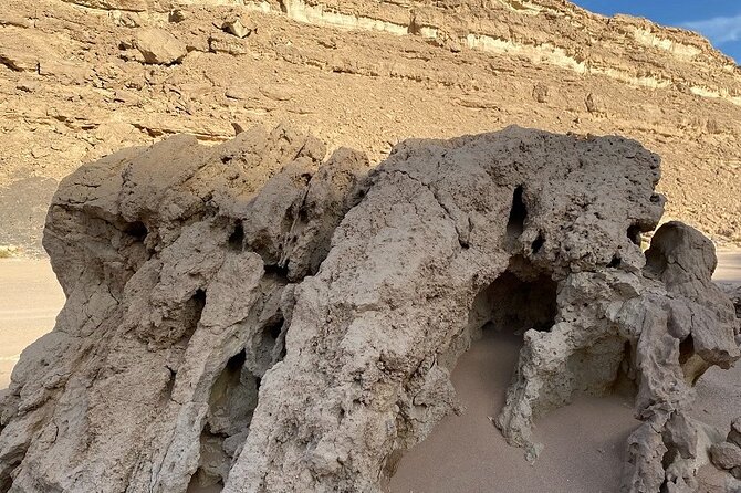 Luxury Desert Safari Tour Review: A Must-Experience - About Your Stay