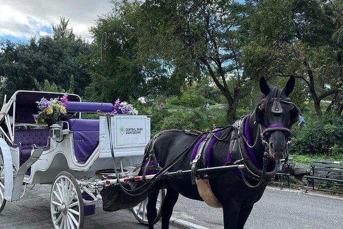 Luxury Horse and Carriage Tours Review - About Your Stay