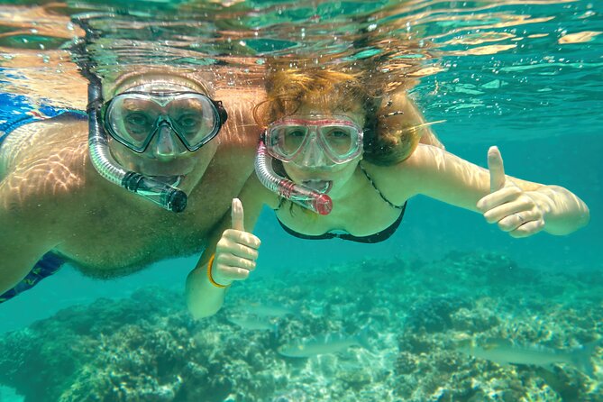 Maui Beach Shoreline Snorkel - Overview of the Maui Beach Shoreline Snorkel Experience