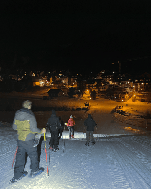 Milky Way: Night Snowshoeing With Typical Mountain Hut Dinner