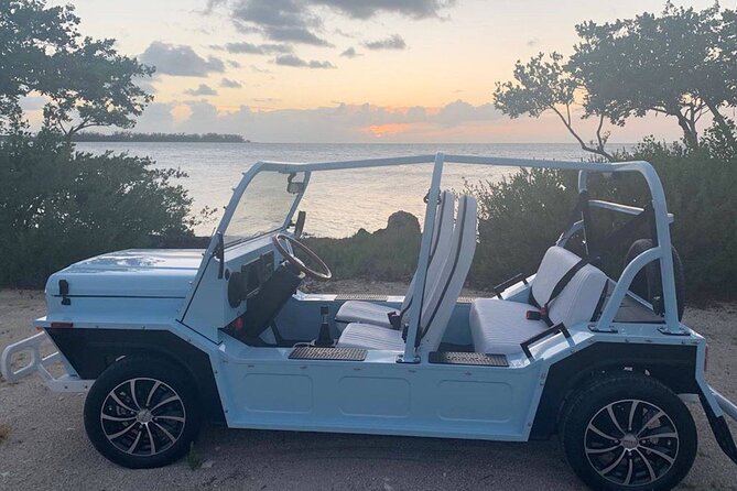 Mini Moke Rental on Marco Island - Overview of Mini Moke Rental