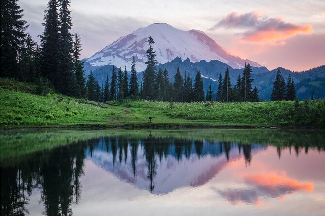 Mount Rainier Full Day Private Tour and Hike (Seattle) - Key Points