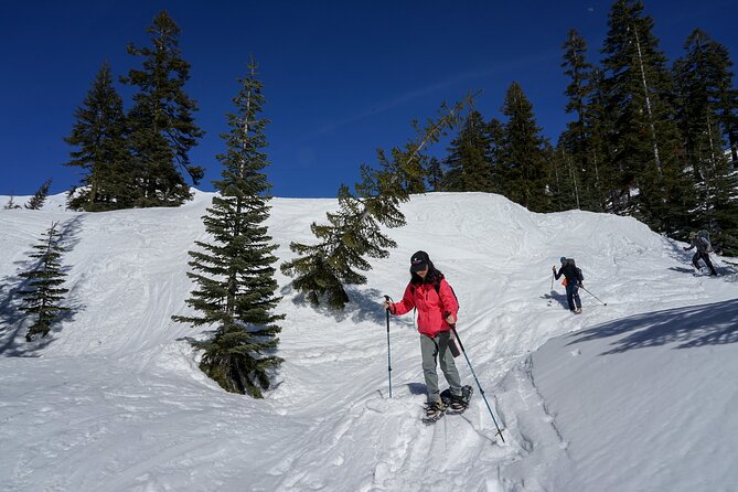 Mt. Shasta Snowshoeing Tours Review - About Your Stay