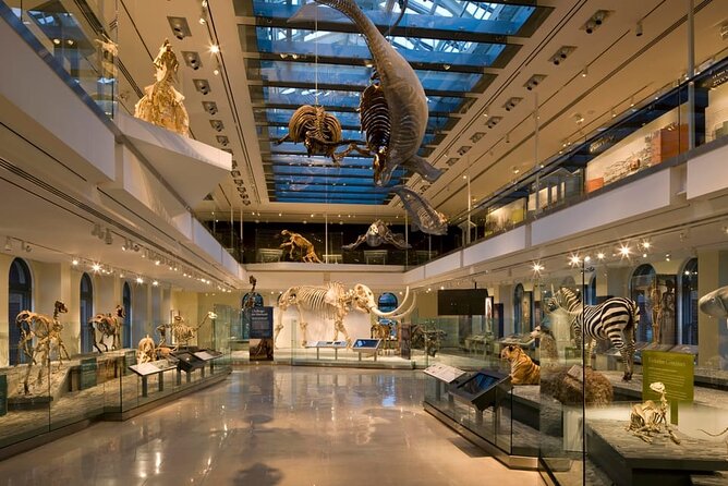 Natural History Museum of Los Angeles County Admission - Key Points