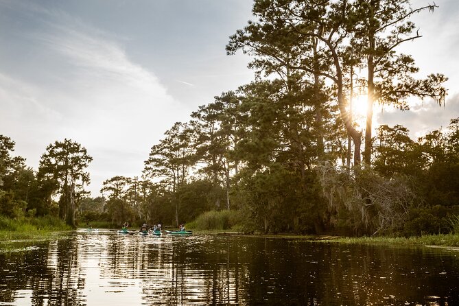 New Orleans Bayou Adventure: Kayak Rental - Experience the Beauty of the Bayou