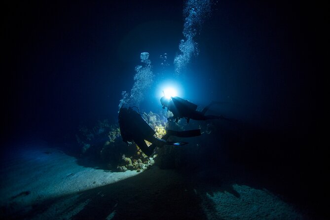 Night Dive Adventure in Oahu - Overview of the Night Dive Adventure