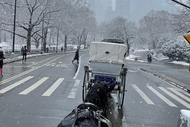 NYC Empire State Horses Carriage Ride in Central Park(55 Min) - Overview of the Experience