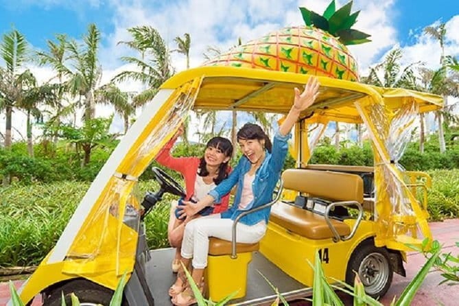 Okinawa Hip-hop Bus A Course Tour｜Churaumi Aqualium,Kori Island - Key Points
