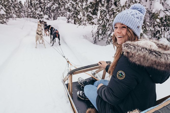 One Hour Experience Dog Sledding - Overview of the Dog Sledding Experience