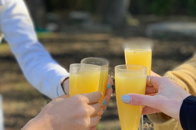 Outdoor Yoga and Mimosas in Austin