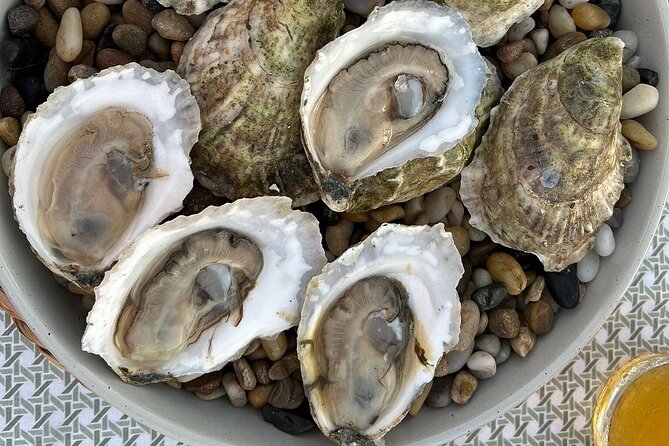 Oyster and Wine Tasting Review - About Your Stay