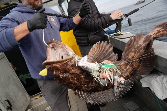 Premium Salmon Fishing - 6 Hours for Cruise Ship Guests - Key Points