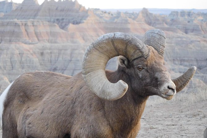 Private 5 Hour Badlands Tour With Local Experts - Key Points