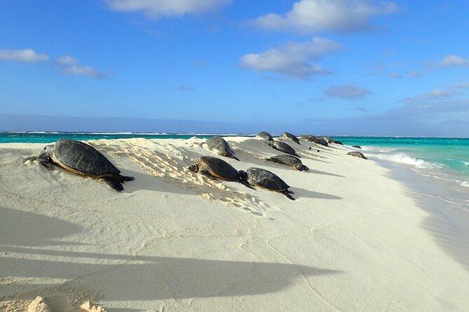 Private Circle Island Tour Across Oahu Paradise - Key Points