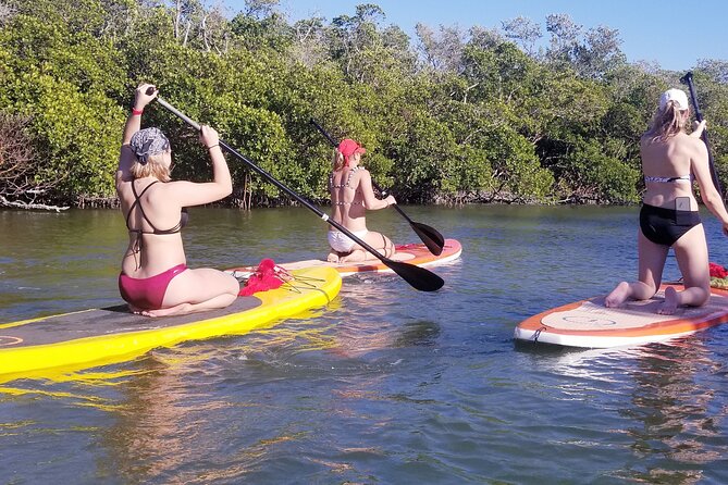 Private Guided Kayak Tour on Big Hickory Pass
