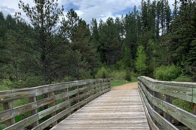 Private Mickelson Trail Bike Tour - Overview of the Tour