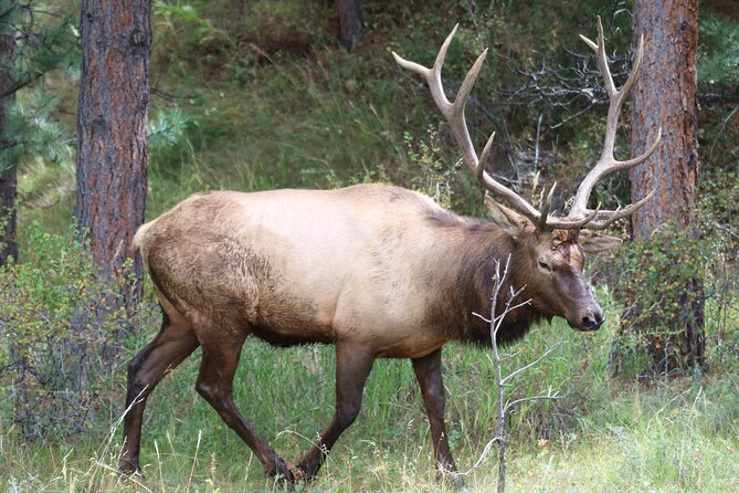 Private Rocky Mountain National Park Tour Review - About Your Stay