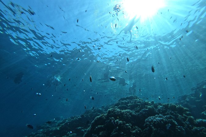 Private Sunset & Snorkeling Tour in Hurghada - Pricing Details