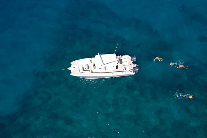 Private Whale Watching Trip From Oahu - Key Points