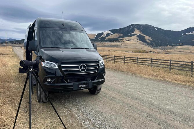 Private Yellowstone Park Van Tours From Bozeman - Key Points