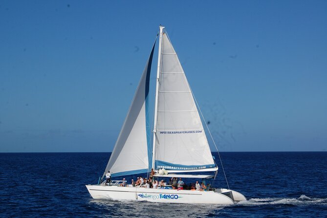 Rodney Bay to Soufriere Catamaran Transfer Review - About Your Stay