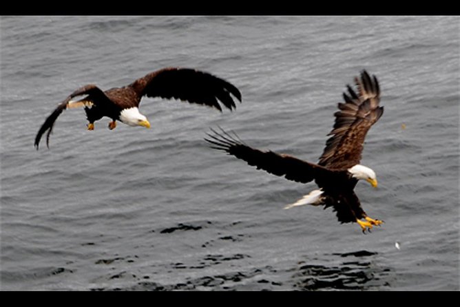 Saltwater Expedition Sightseeing & Wildlife Review - About Your Stay