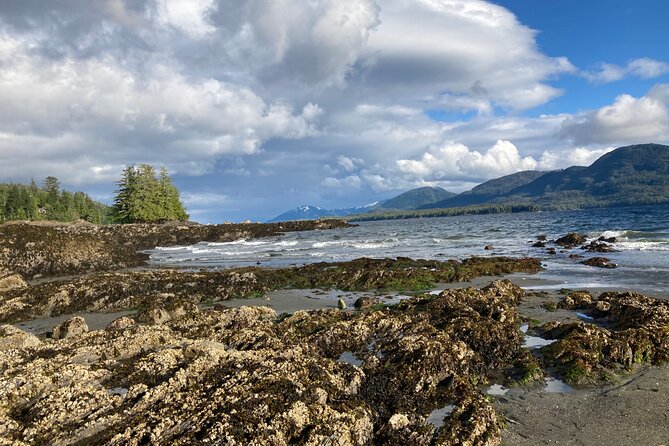Scenic Drive Tour Through the Rainforest of Ketchikan Alaska - Key Points