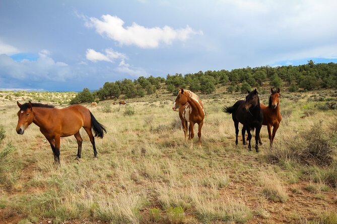 Sedona Private Custom Tour Review - About Your Stay