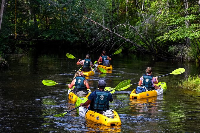 Short River Kayak Tour in New Jersey Review - About Your Stay