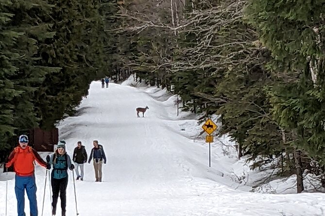 Shuttle to Snoqualmie Pass Review