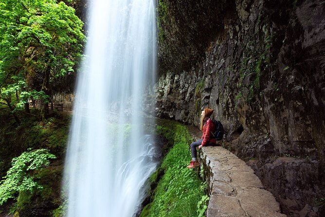 Silver Falls Private Hike Tour - Overview of Silver Falls Private Hike Tour
