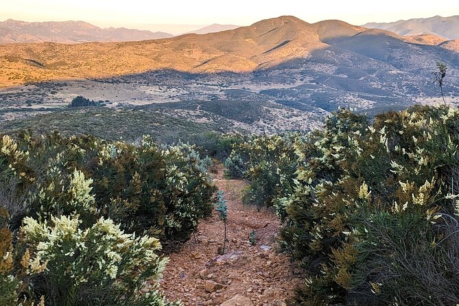 Small Group Hike Through San Diegos Heart and Soul - Key Points