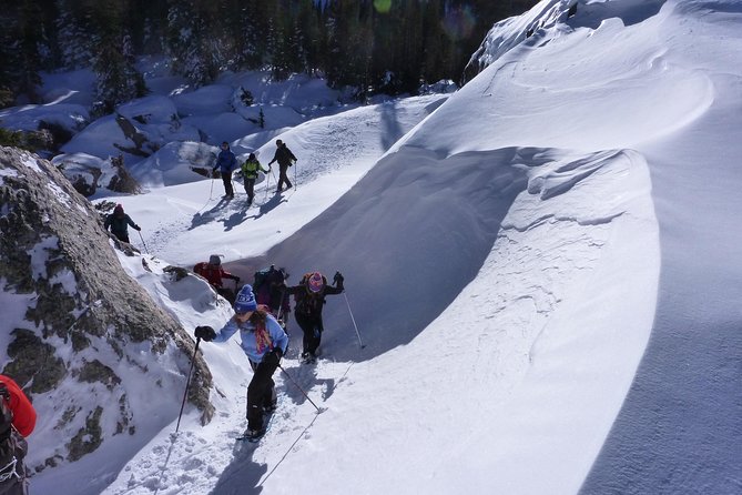 Snowshoe Mountain Adventure Review: An Unforgettable Experience - About Your Stay