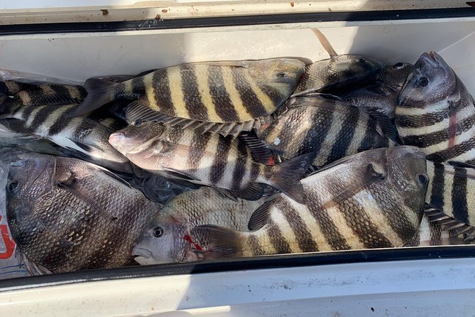 St. Augustine Fishing Charter-23 - Key Points